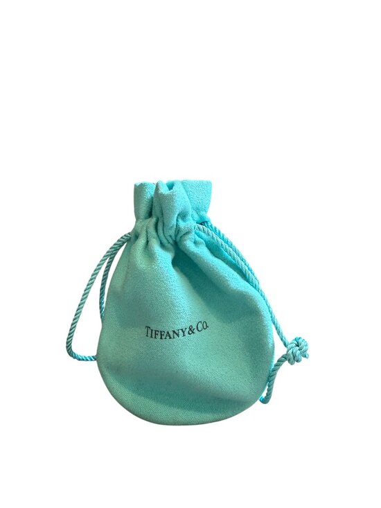 Tiffany & Co. Jewelry - Authentic Tiffany & Co. Drawstring Jewelry Pouch w/ Interior Divider
